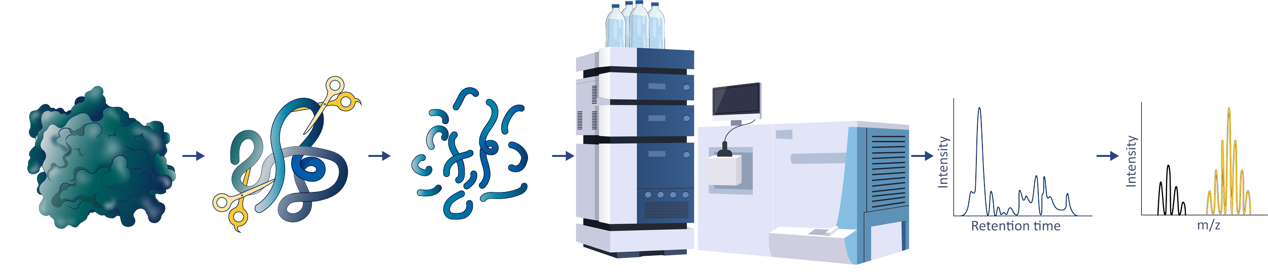 Peptide mapping via mass spectrometry